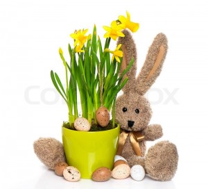 3590782-easter-decoration-with-eggs-narcissus-flowers-and-bunny